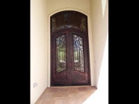 Iron Entry Door with Transom